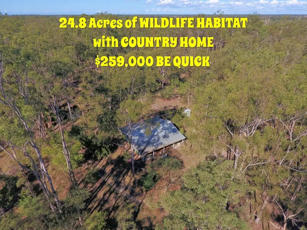 Main view of Homely house listing, 16 Smiths Crossing Road, Bucca QLD 4670