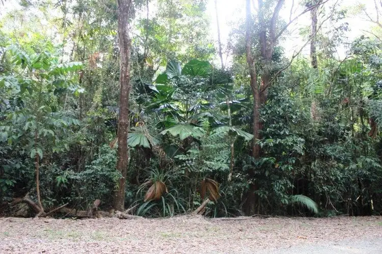 Fourth view of Homely land listing, 22 Forest Close, Daintree QLD 4873