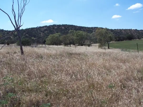 Seventh view of Homely land listing, 109 Cripps Road, Northampton WA 6535