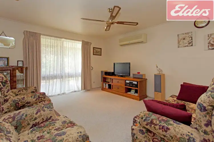 Fifth view of Homely house listing, 167 Murray Street, Rutherglen VIC 3685