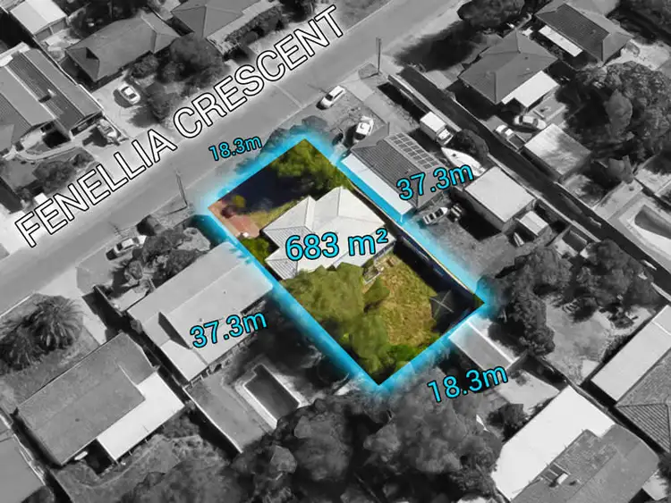 Fifth view of Homely house listing, 16 Fenellia Crescent, Craigie WA 6025