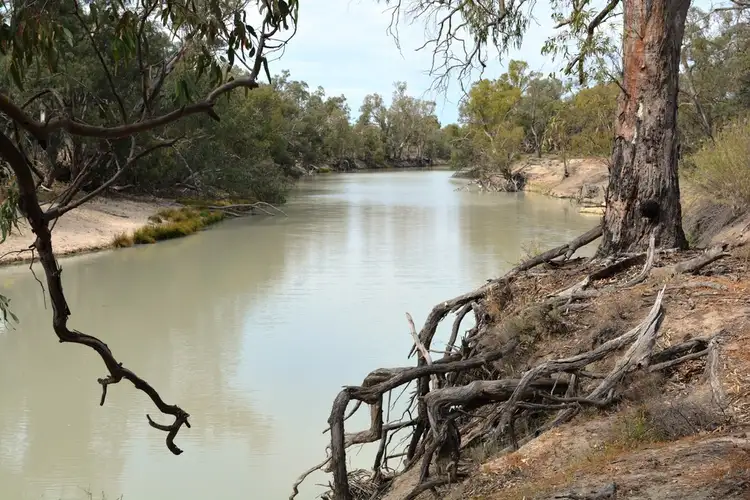 Fourth view of Homely land listing, Lot 3 Low Darling Road, Wentworth NSW 2648