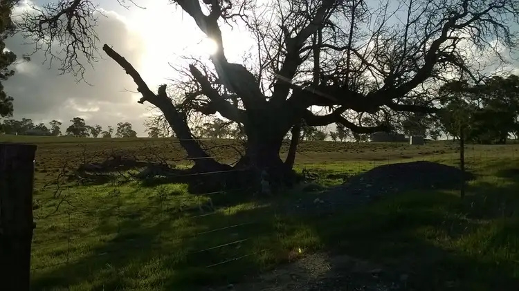 Fifth view of Homely rural property listing, Lot 7 Emu Rise Road, Keith SA 5267