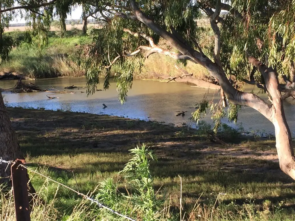 Main view of Homely rural property listing, 53 Pandora Lane, Narrabri NSW 2390