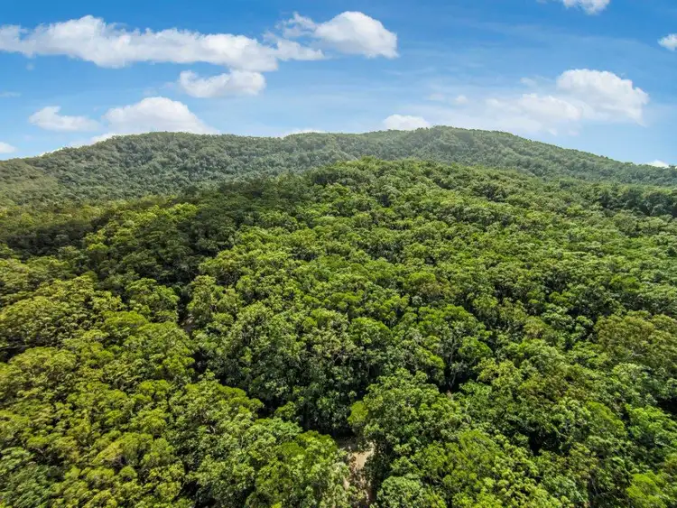 Sixth view of Homely land listing, 233 White Beech Rd, Daintree QLD 4873