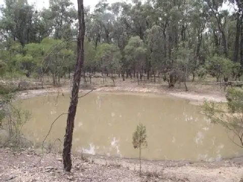 Second view of Homely rural property listing, LOT 20 CHARLES DRIVE, Tara QLD 4421