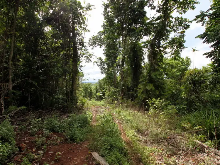 Fourth view of Homely rural property listing, LOT 2 WALTER LEVER ESTATE ROAD, Japoonvale QLD 4856