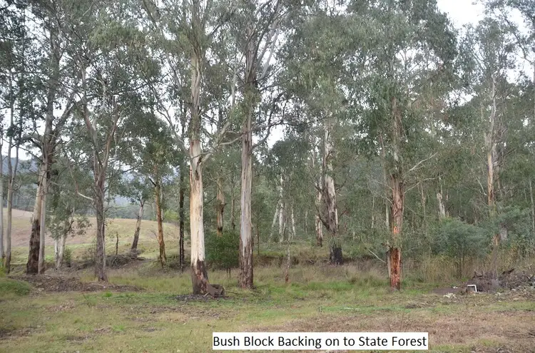 Fourth view of Homely house listing, 19 Goldie Spur Track via Buckland Valley, Porepunkah VIC 3740