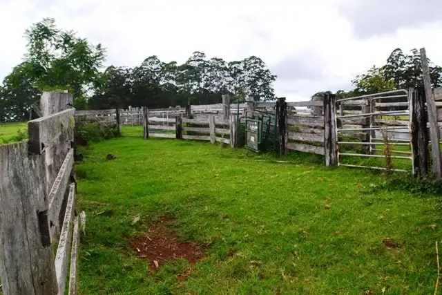 Third view of Homely rural property listing, Lot 107 Costigans Road, Yarras NSW 2446