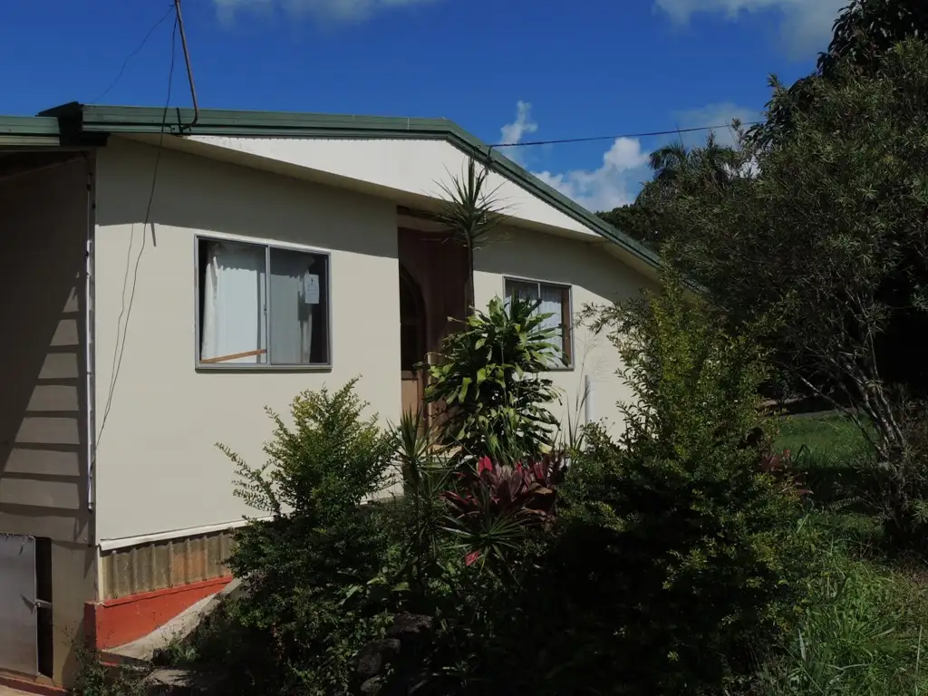 Main view of Homely house listing, 19 Palm Avenue, Millaa Millaa QLD 4886