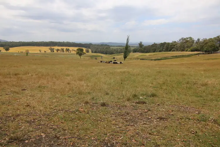 Main view of Homely rural property listing, Lot 1 / 515 Bullumwaal Road, Mount Taylor VIC 3875