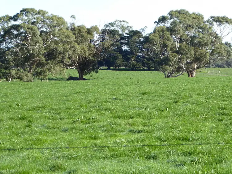 Fifth view of Homely rural property listing, 314 Rollos Road, Naringal VIC 3277