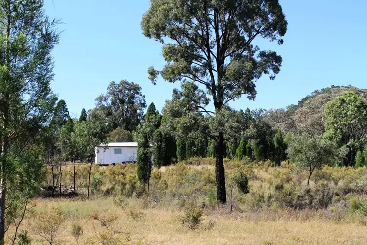 Third view of Homely rural property listing, 797 Ridge Rd, Mudgee NSW 2850