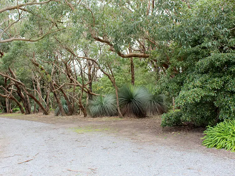 Fourth view of Homely rural property listing, Allotment 5 9058 Main South Rd, Delamere SA 5204