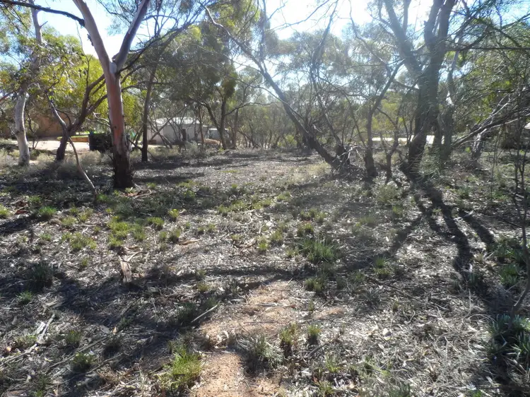 Fifth view of Homely land listing, Allot 14 Nitschke Road, Loxton SA 5333