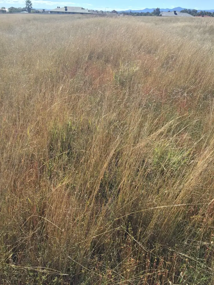 Second view of Homely land listing, Lot 15 Warwick Road, Tamworth NSW 2340