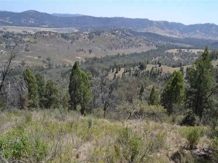 Fifth view of Homely rural property listing, Lot 5 "Cooees Mountain" Yarrabin Road, Yarrabin NSW 2850