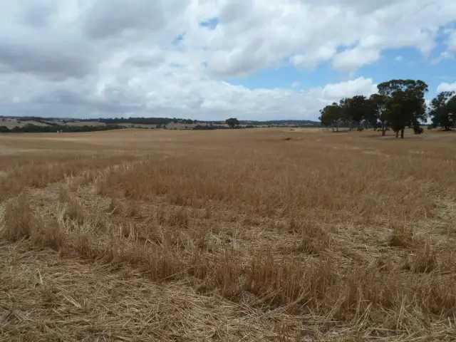 Sixth view of Homely rural property listing, 'Fernleigh' Great Southern Highway, York WA 6302