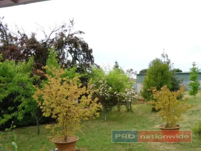 Second view of Homely house listing, 1 Batlow Ave, Batlow NSW 2730