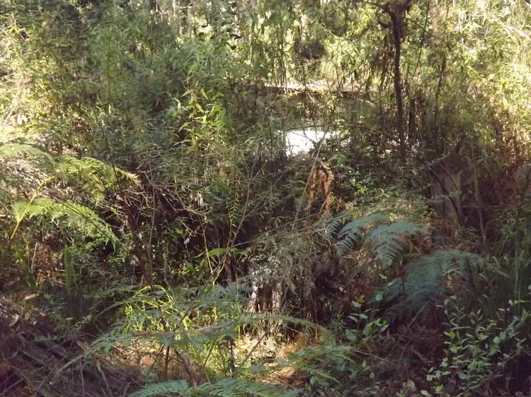 Second view of Homely house listing, 1840 MURRUNGOWAR ROAD, Cabbage Tree Creek VIC 3889