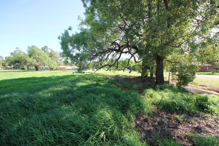 Third view of Homely land listing, 40-42 Wellington Street, Geurie NSW 2818