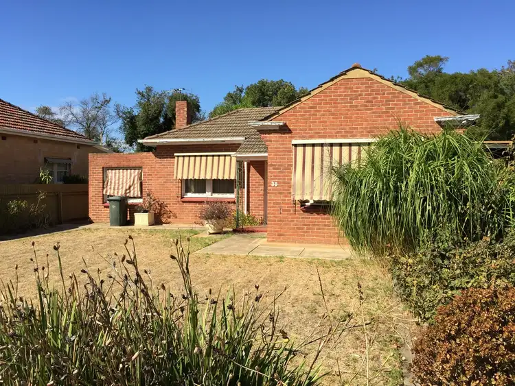 Main view of Homely house listing, 38 Garfield Avenue, Kurralta Park SA 5037