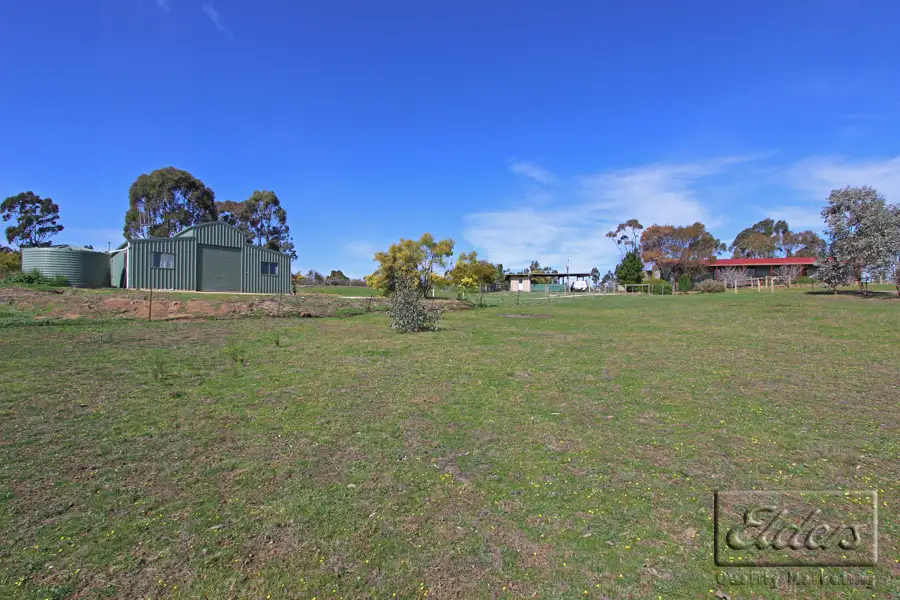 Main view of Homely house listing, 551 Axe Creek Road, Axe Creek VIC 3551