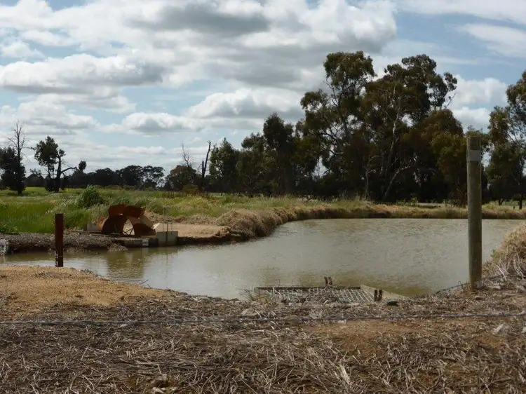 Second view of Homely rural property listing, | Kweong |, Finley NSW 2713