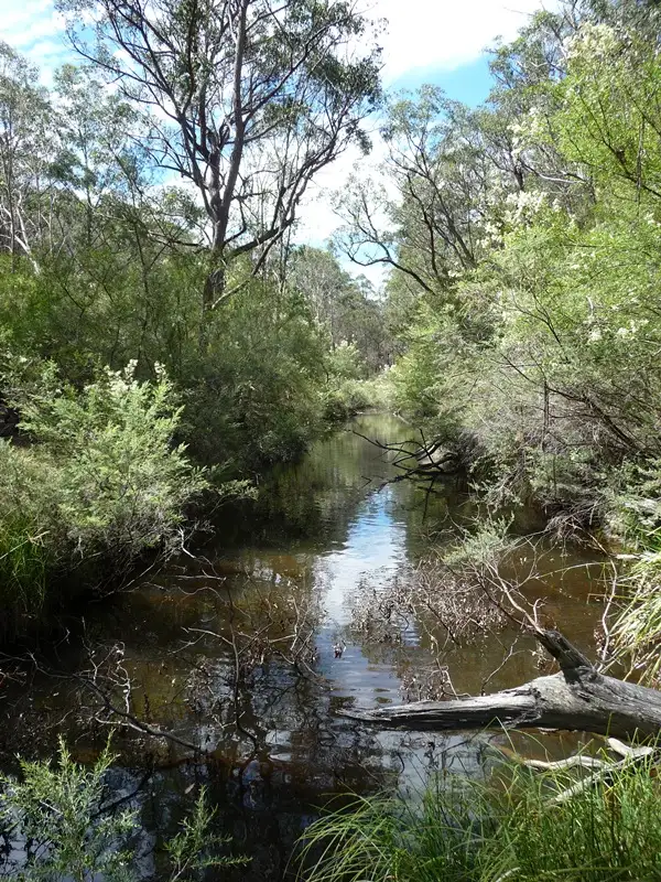 Fourth view of Homely rural property listing, 610 Paddysland Rd, Guyra NSW 2365
