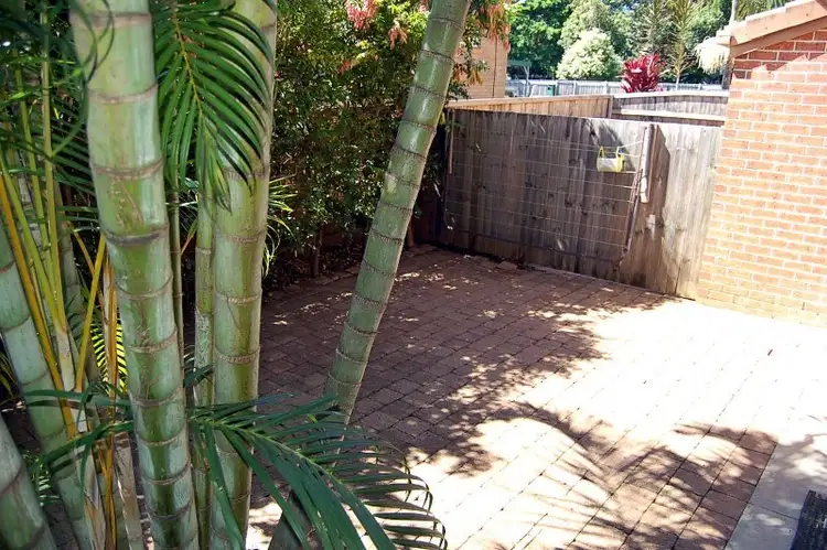 Fifth view of Homely townhouse listing, 3/499 Main Road, Wellington Point QLD 4160