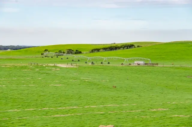 Third view of Homely rural property listing, 408 Settlers Road, Mount Schank SA 5291