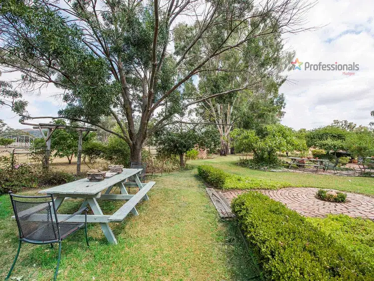 Seventh view of Homely rural property listing, 1239 Castlereagh Hwy, Mudgee NSW 2850