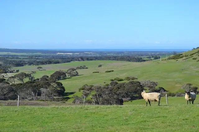 Main view of Homely rural property listing, Lots 105 & 106 North Coast Rd, Wisanger SA 5223