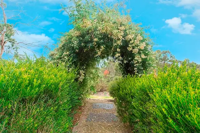 Sixth view of Homely house listing, 210 Emu Rock Road, Clare SA 5453
