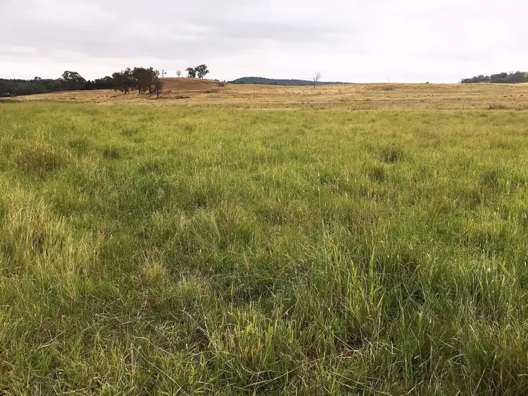 Fifth view of Homely rural property listing, 1732 Spring Ridge Road, Mudgee NSW 2850