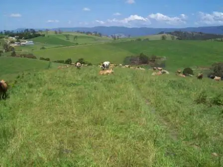 Sixth view of Homely rural property listing, 302 Nobby Park Rd, Bemboka NSW 2550