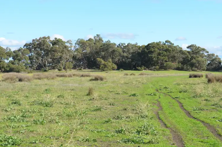 Sixth view of Homely rural property listing, 387 Heinrichs Road, Kingston Se SA 5275
