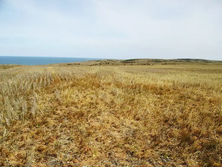 Fifth view of Homely rural property listing, Section 425 KIANDRA ROAD, Lipson SA 5607