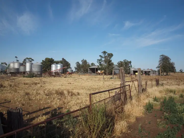 Second view of Homely rural property listing, - Pinehurst, West Wyalong NSW 2671