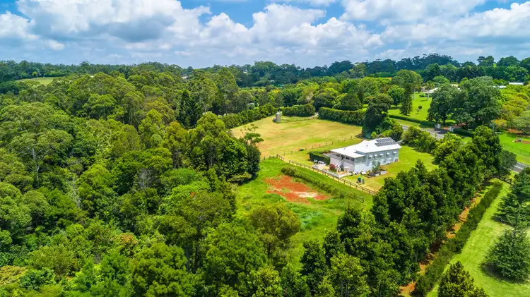 Main view of Homely house listing, 11-29 Holt Road, Tamborine Mountain QLD 4272