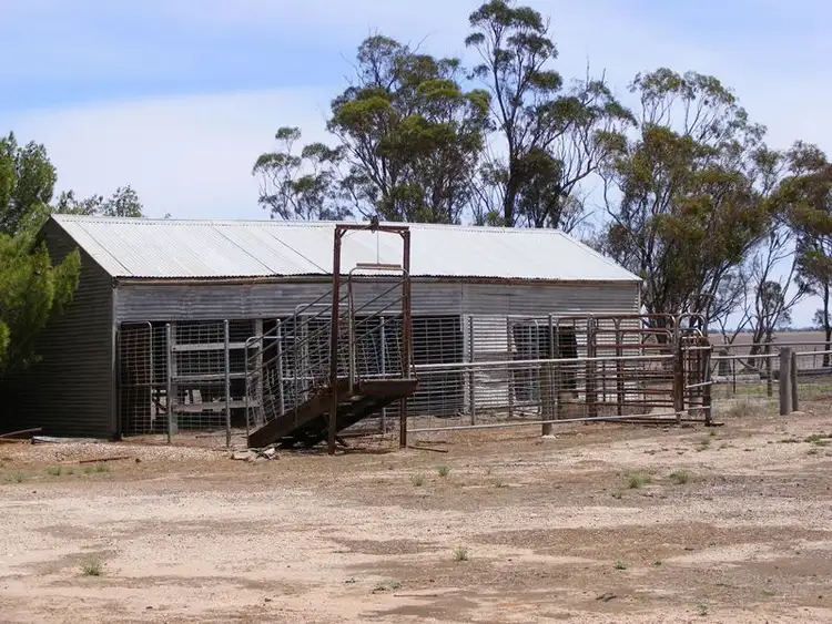 Seventh view of Homely rural property listing, 164 Bell's Road, Aubrey via, Horsham VIC 3400