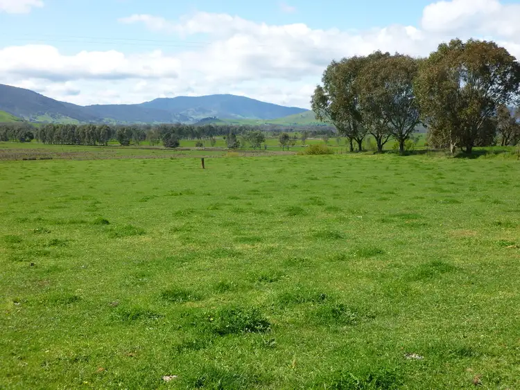 Second view of Homely rural property listing, 1169 Omeo Highway, Tallangatta VIC 3700