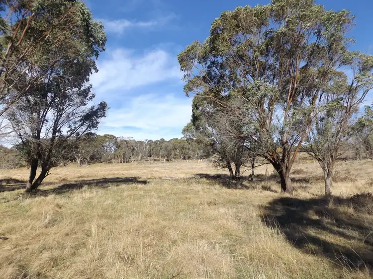 Fourth view of Homely rural property listing, Address available on request