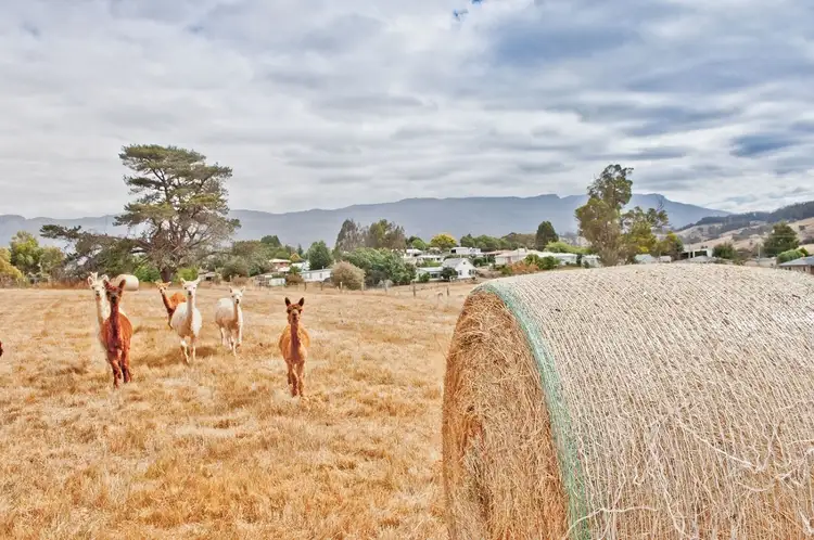 Seventh view of Homely land listing, 27 Caveside Road, Mole Creek TAS 7304