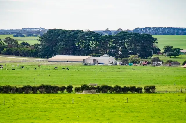 Main view of Homely rural property listing, 408 Settlers Road, Mount Schank SA 5291