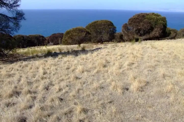 Sixth view of Homely rural property listing, Lot 100 Ironstone Hill, Penneshaw SA 5222