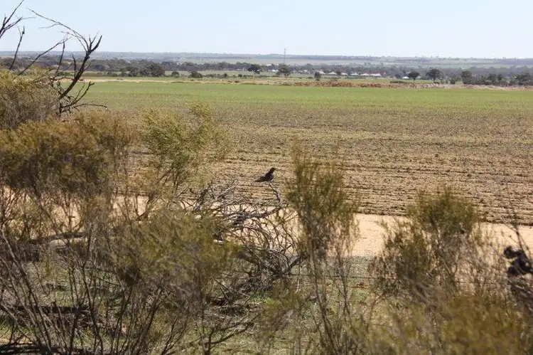 Second view of Homely land listing, Lot 1 Merredin - Narembeen Road, Merredin WA 6415
