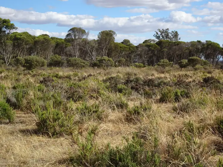 Third view of Homely rural property listing, 649 Bullock Hills Road, Wagin WA 6315