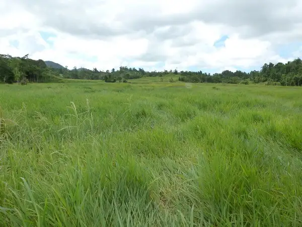 Second view of Homely rural property listing, Address available on request