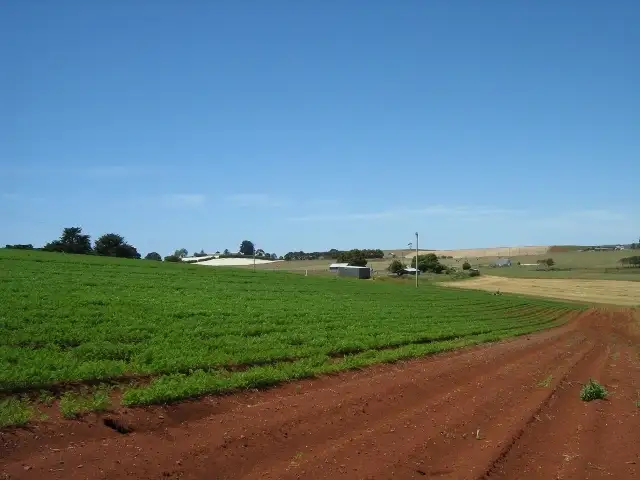 Main view of Homely rural property listing, 464 Stubbs Road, Forth TAS 7310